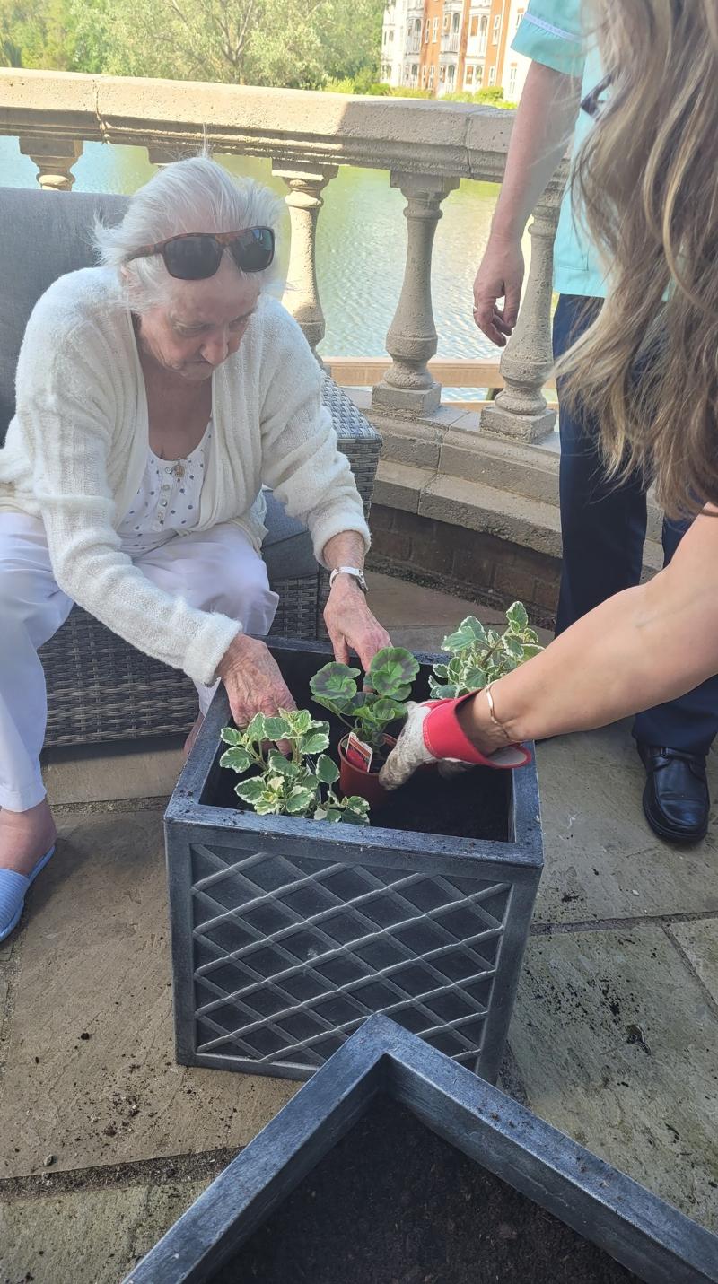 Elderly lady planting flowers in a square pot with the assistance of another woman.