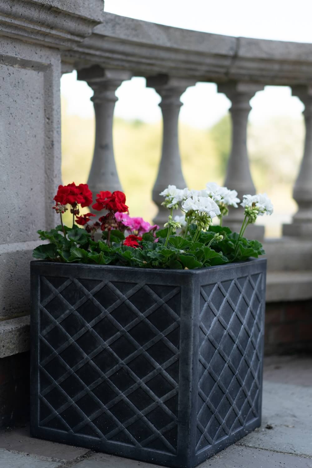 Flower pot on a balcony with white, red, and pink flowers.