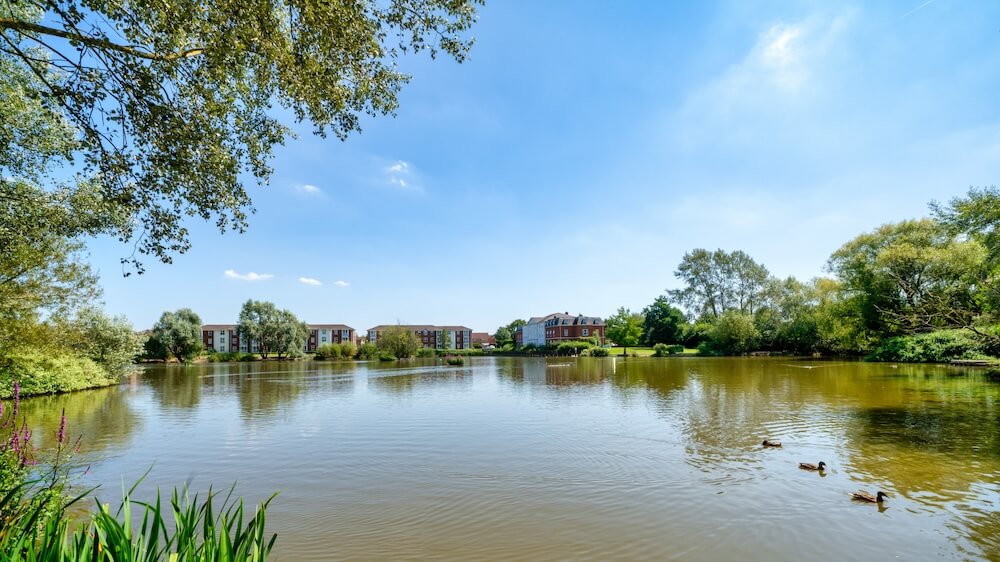 Landscape view of a lake with ducks, with a care home visible in the background behind the lake.